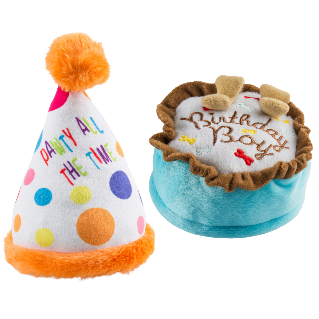 Birthday Boy Party Bundle Dog Toy