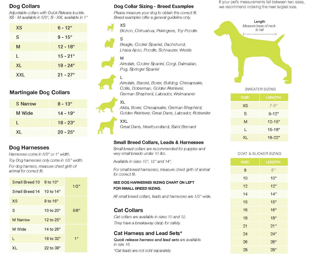 Golf Lover Dog Collar