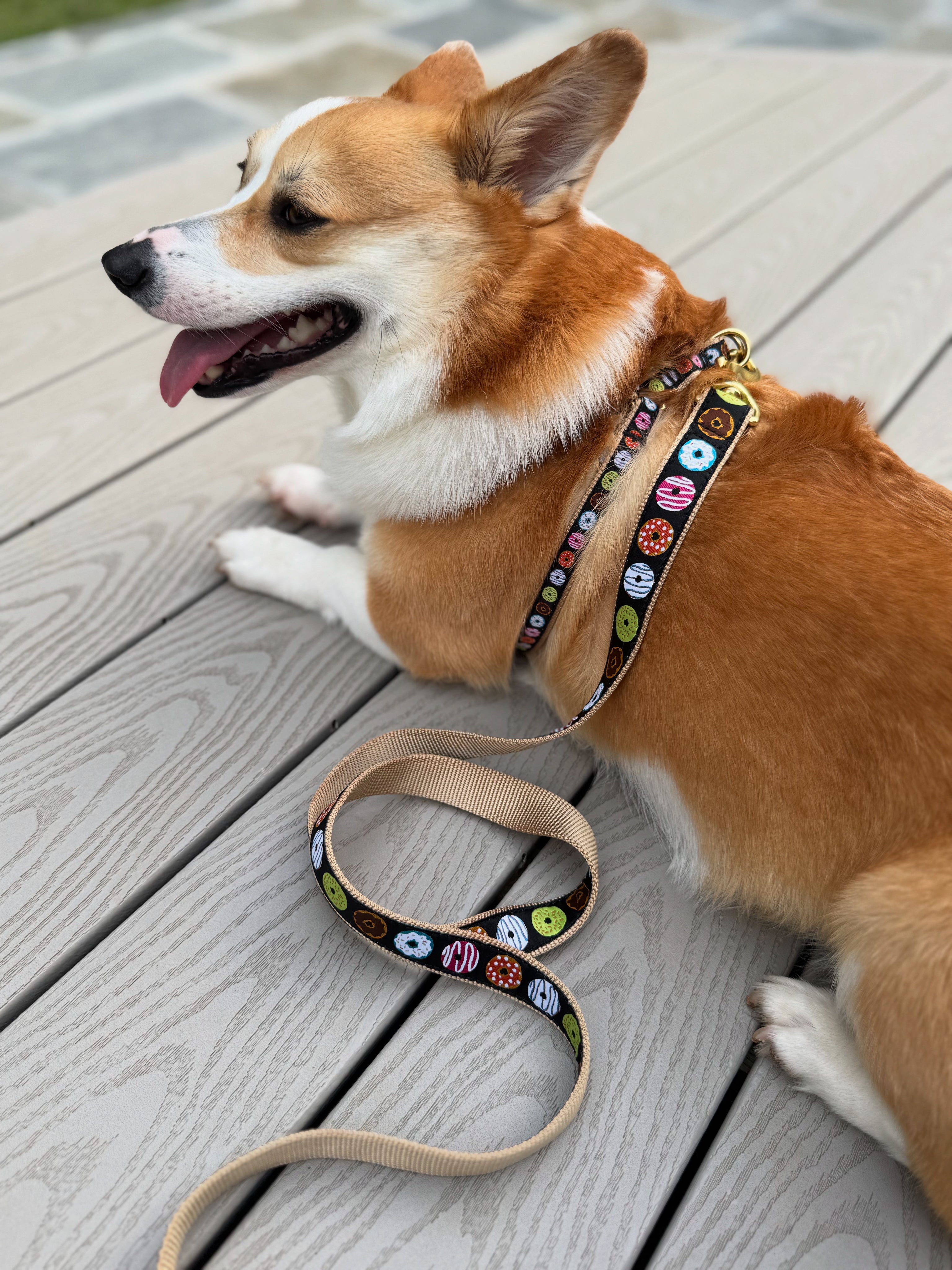 Donuts Dog Lead