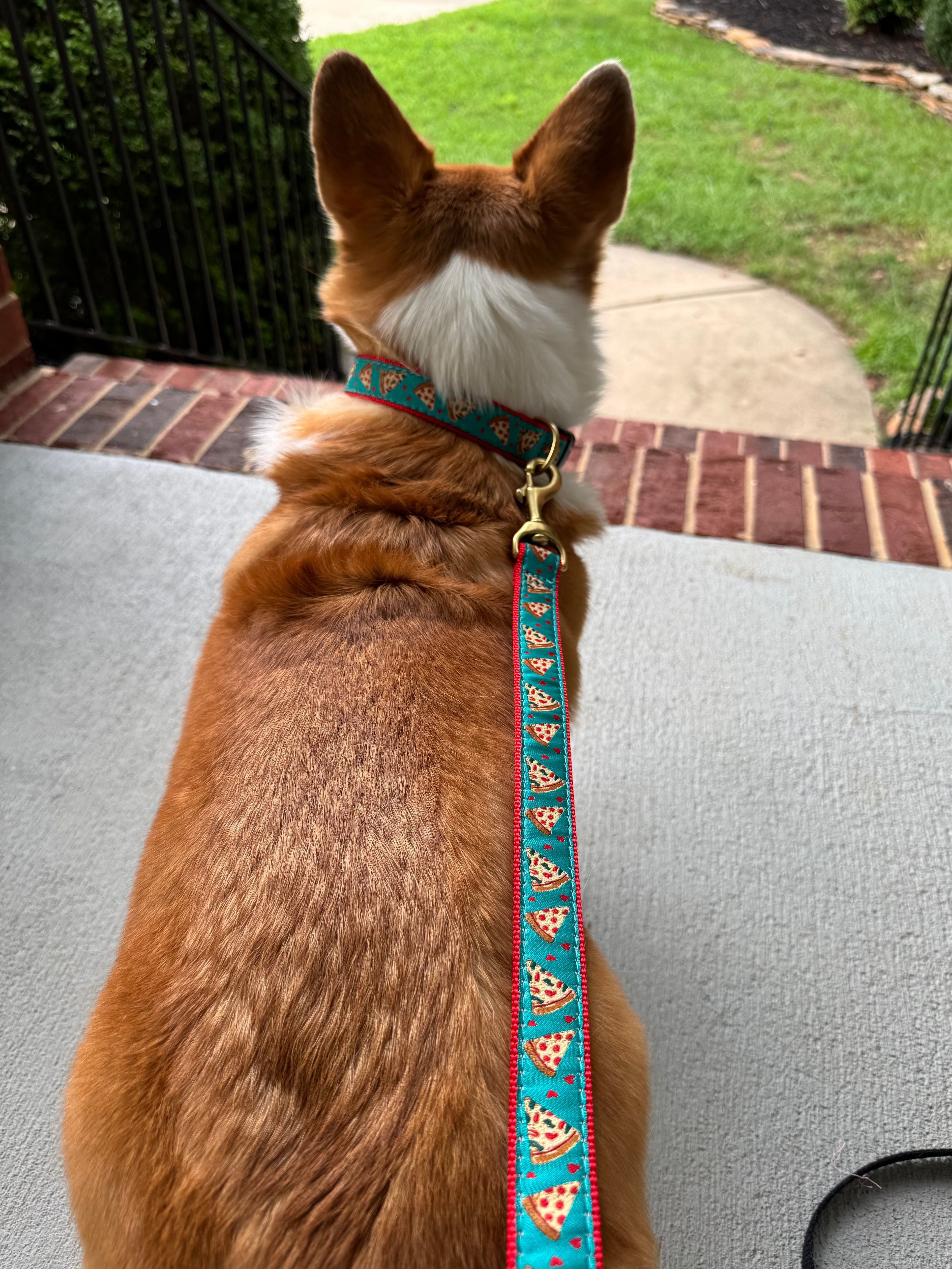 Pizza Lover Dog Collar