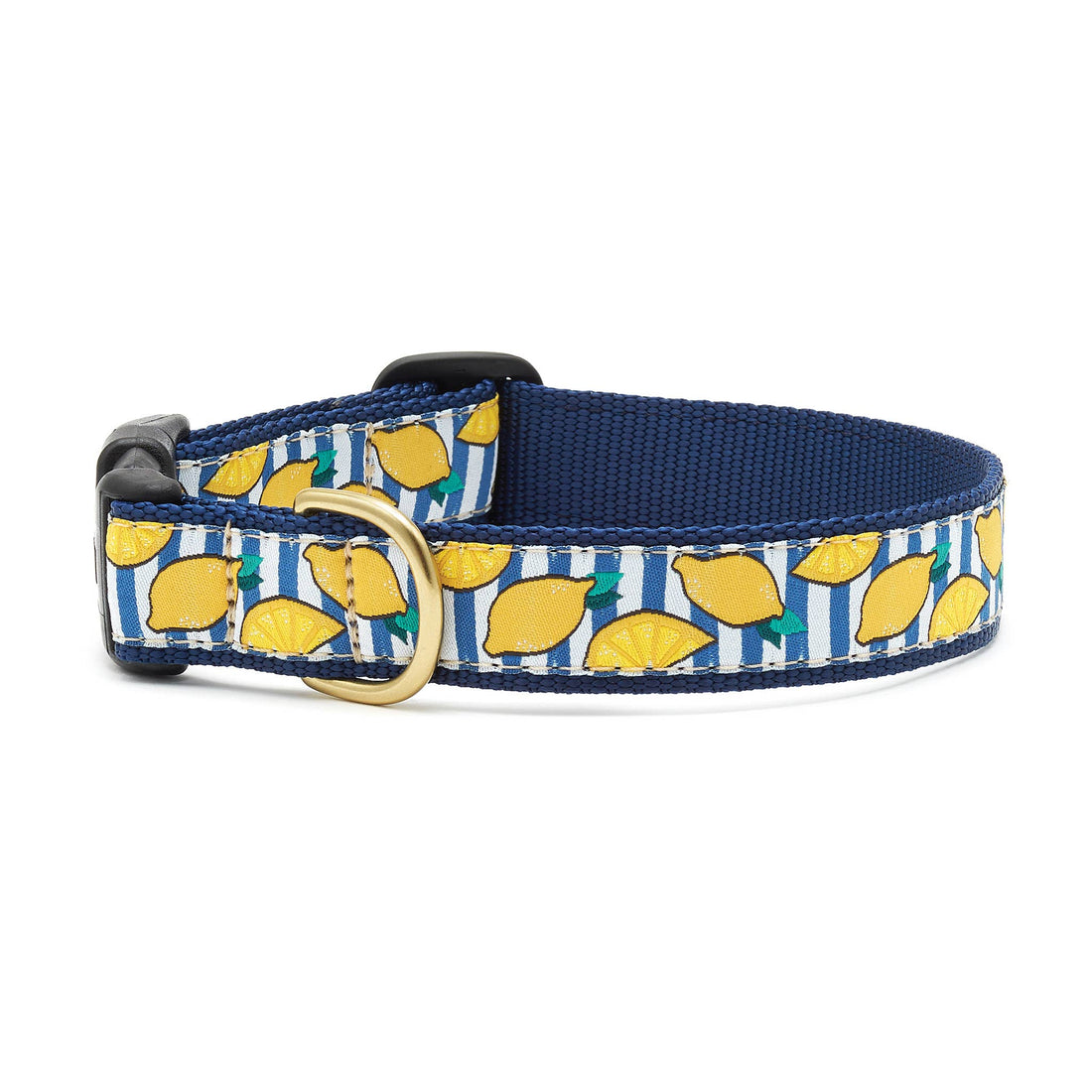 Make Lemonade Dog Collar